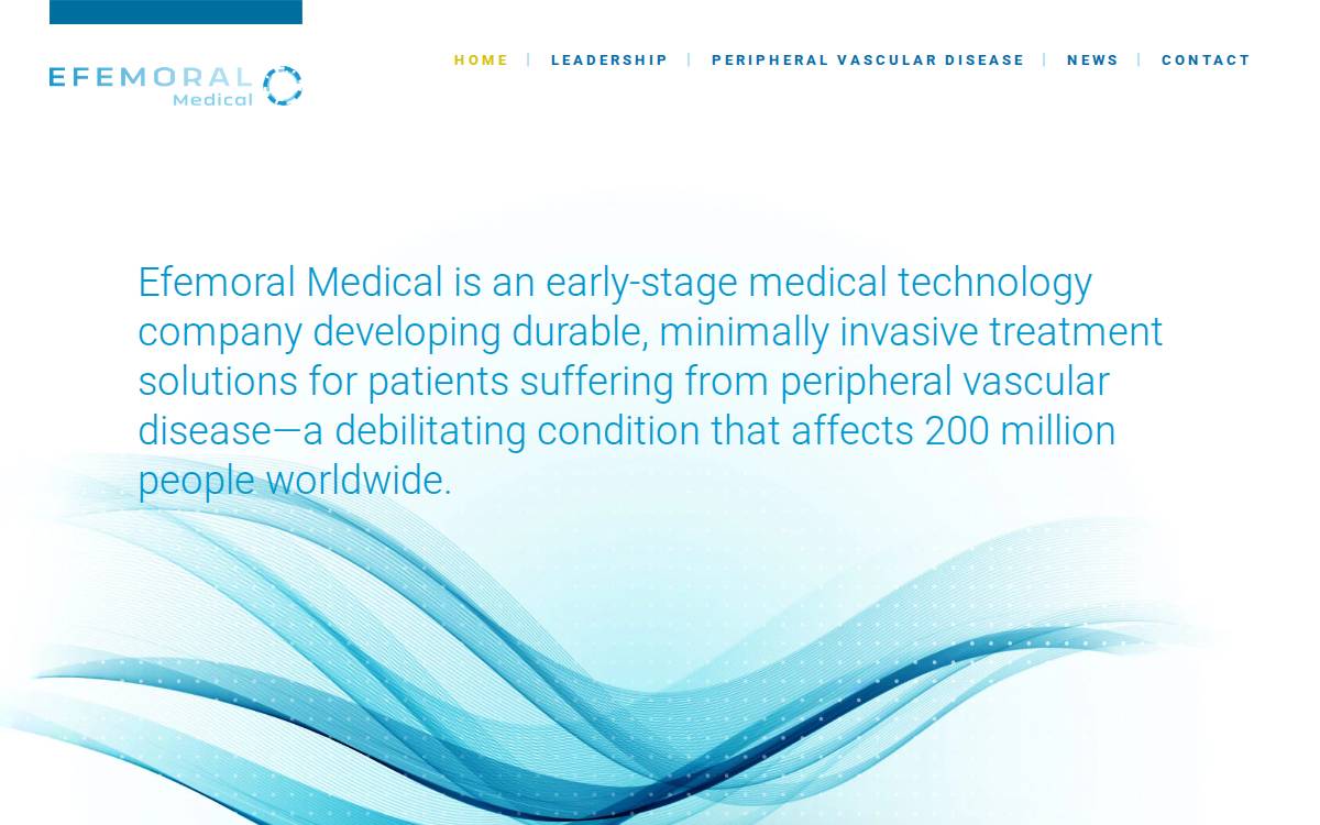 Efemoral Medical website preview