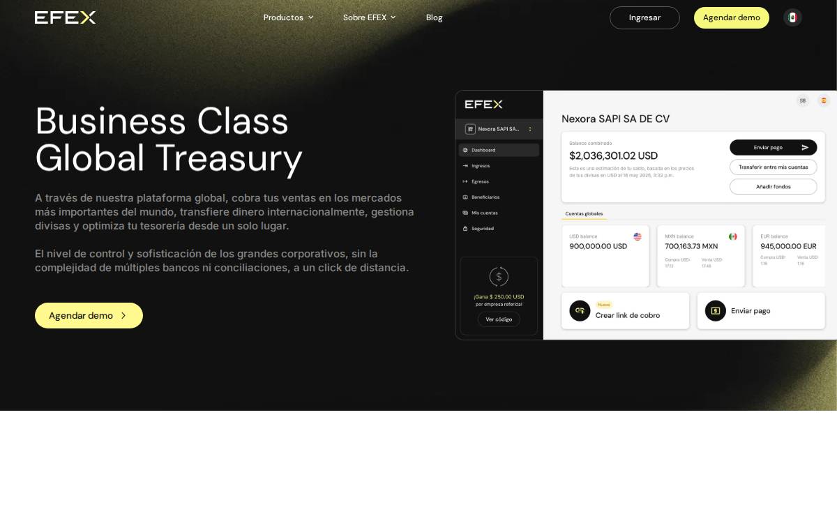 EFEX website preview