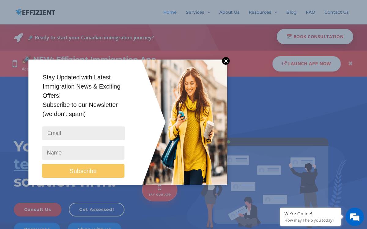 Effizient Immigration Inc. Website website preview
