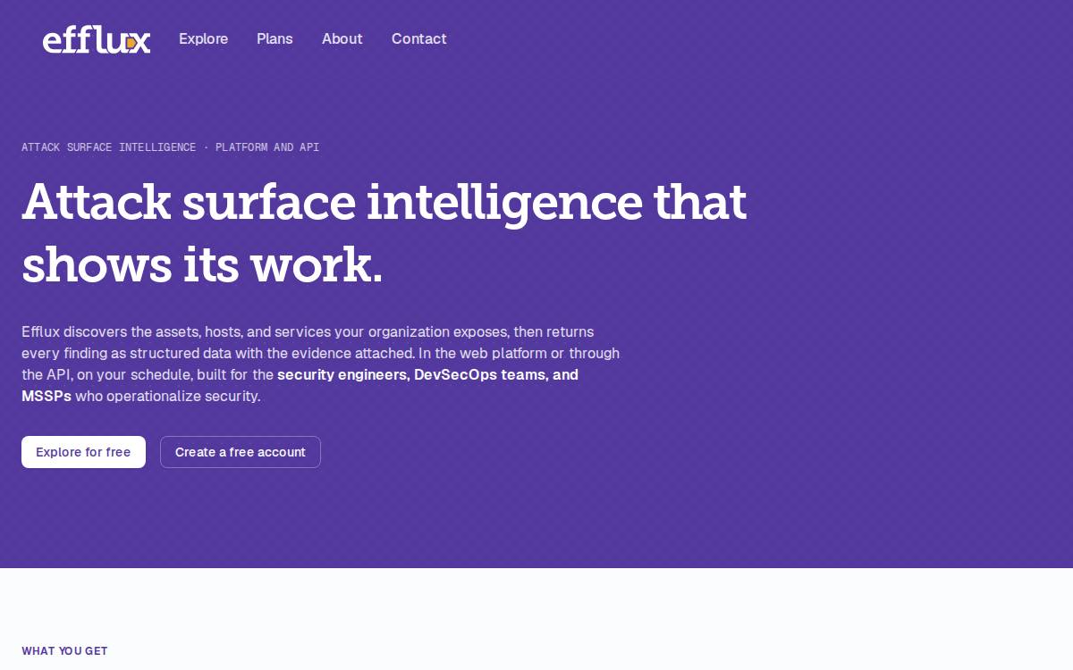 Efflux Systems website preview