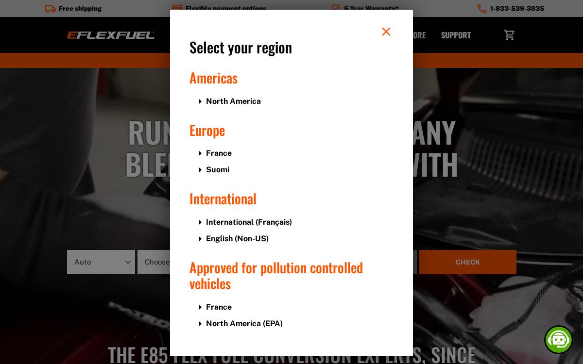 eFlexFuel website preview