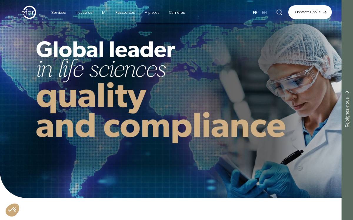 Efor website preview