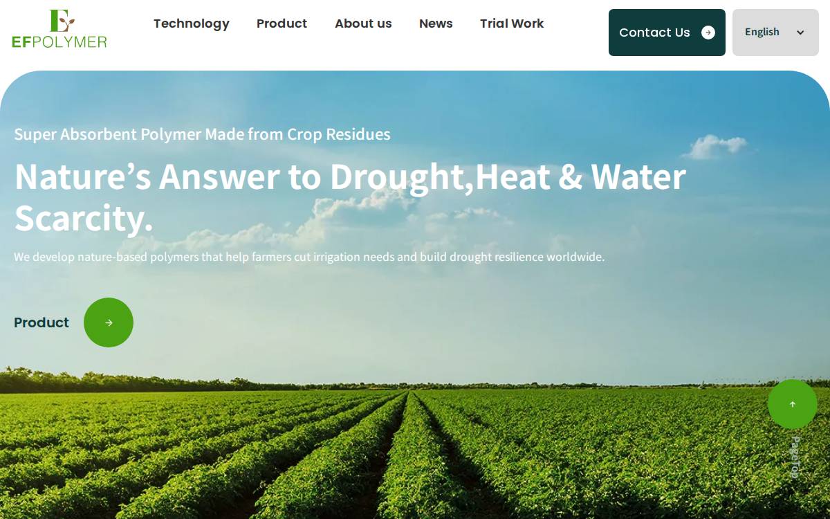 EF Polymer website preview