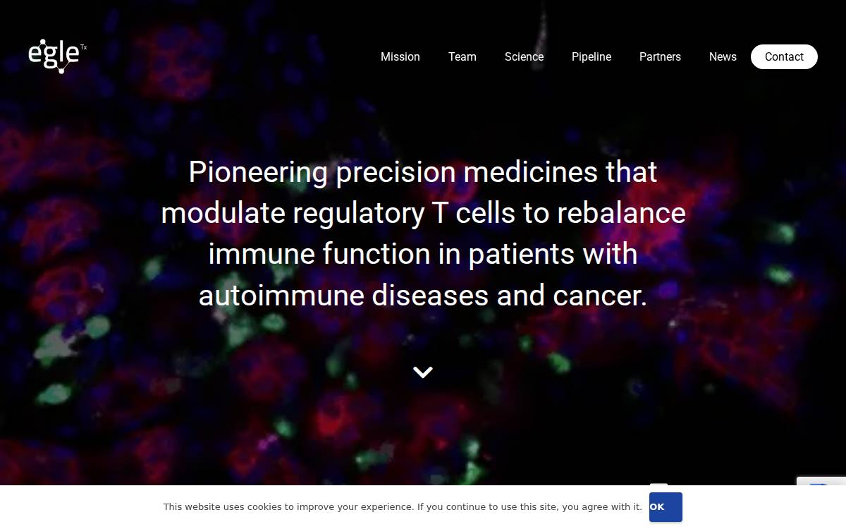 Egle Tx website preview