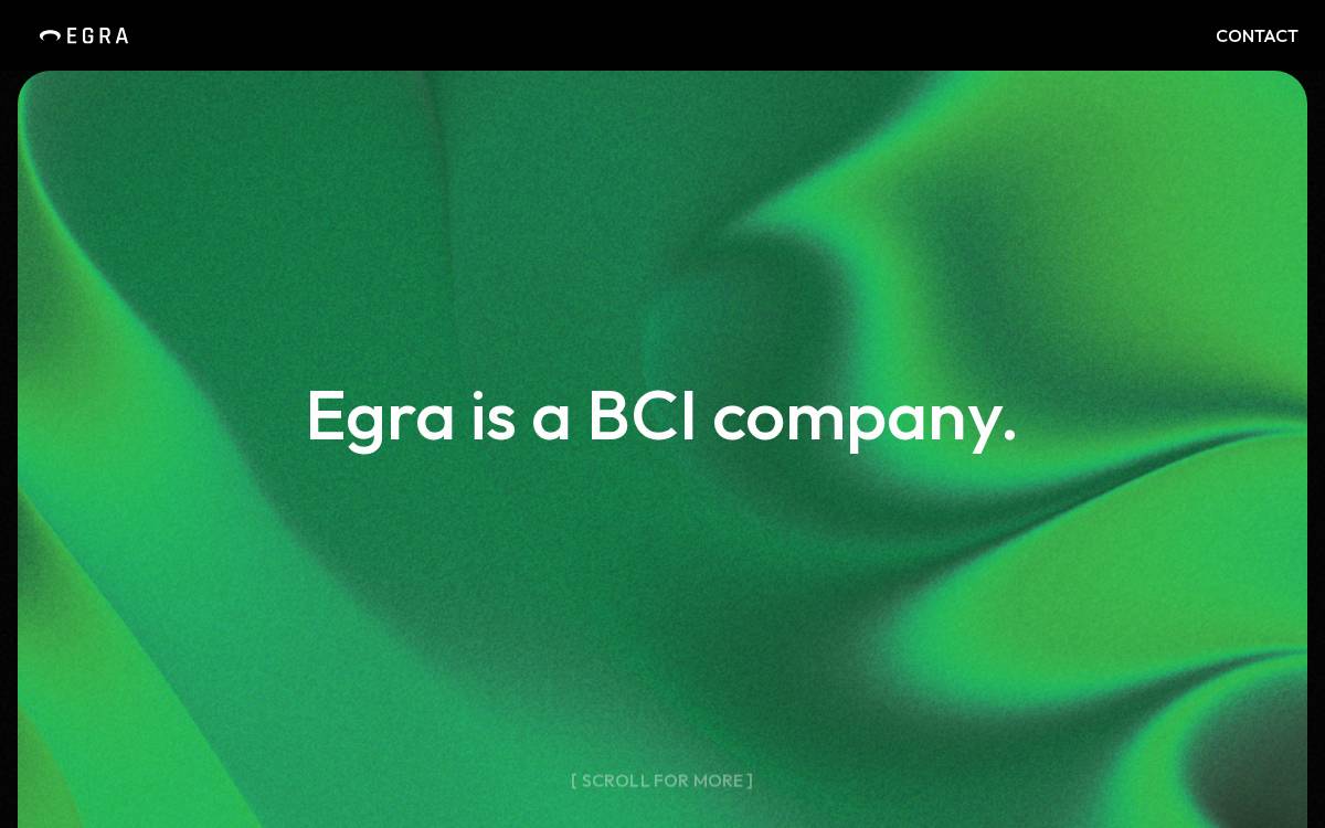 Egra website preview