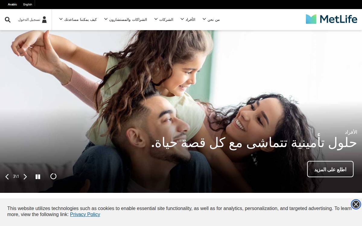 Egypt website preview