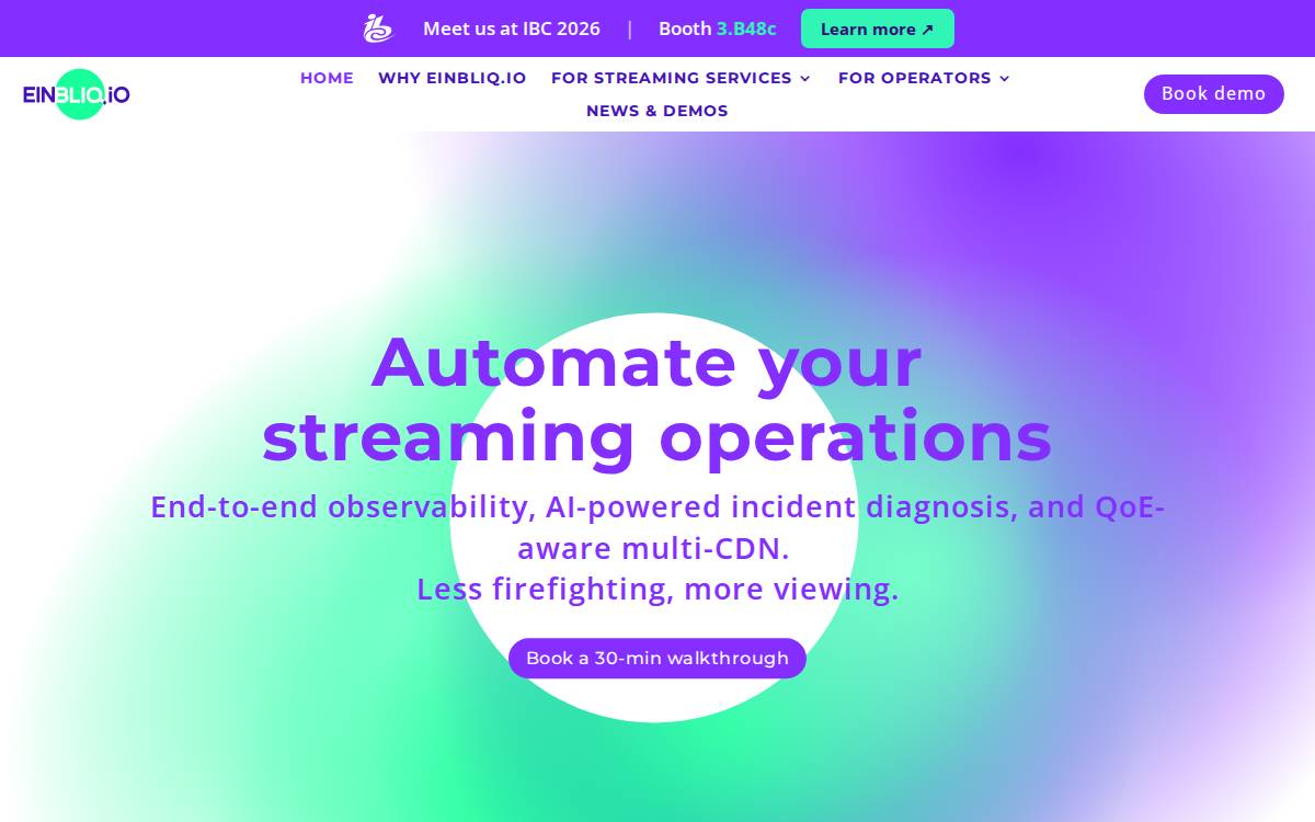 Einbliq website preview