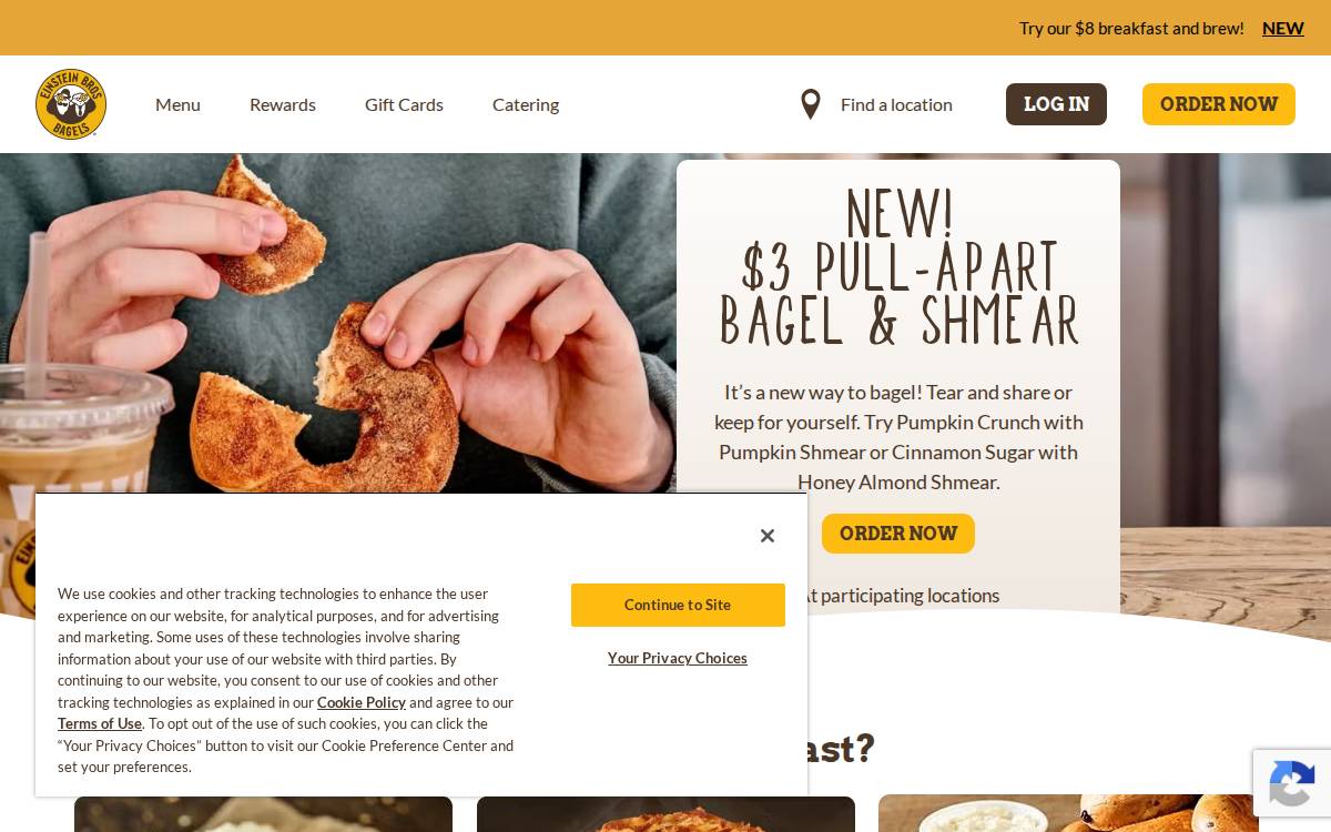 Einsteinbros website preview