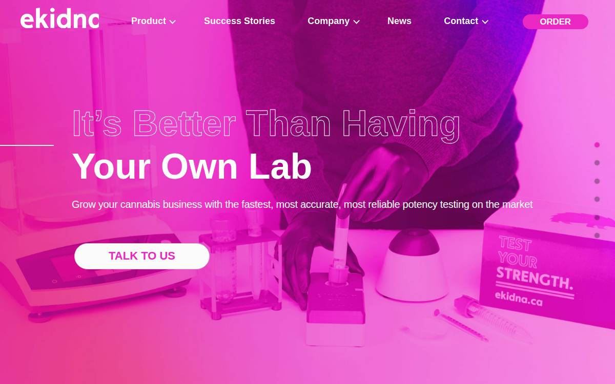 Ekidna Sensing Inc. website preview