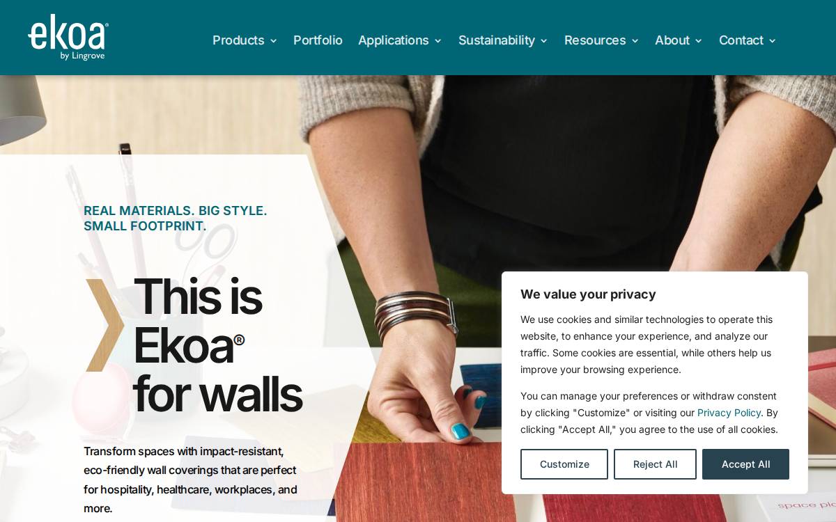 Ekoa website preview