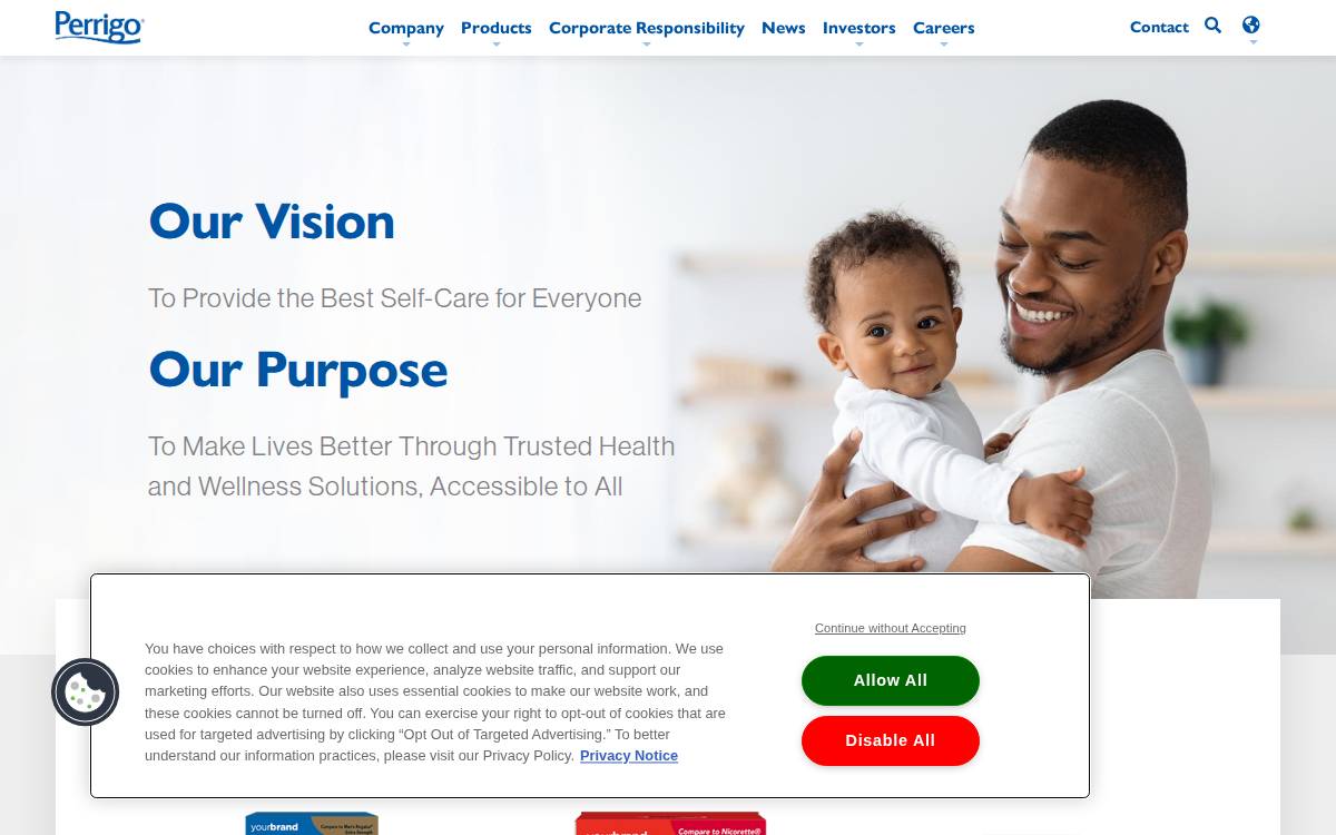 Elan website preview