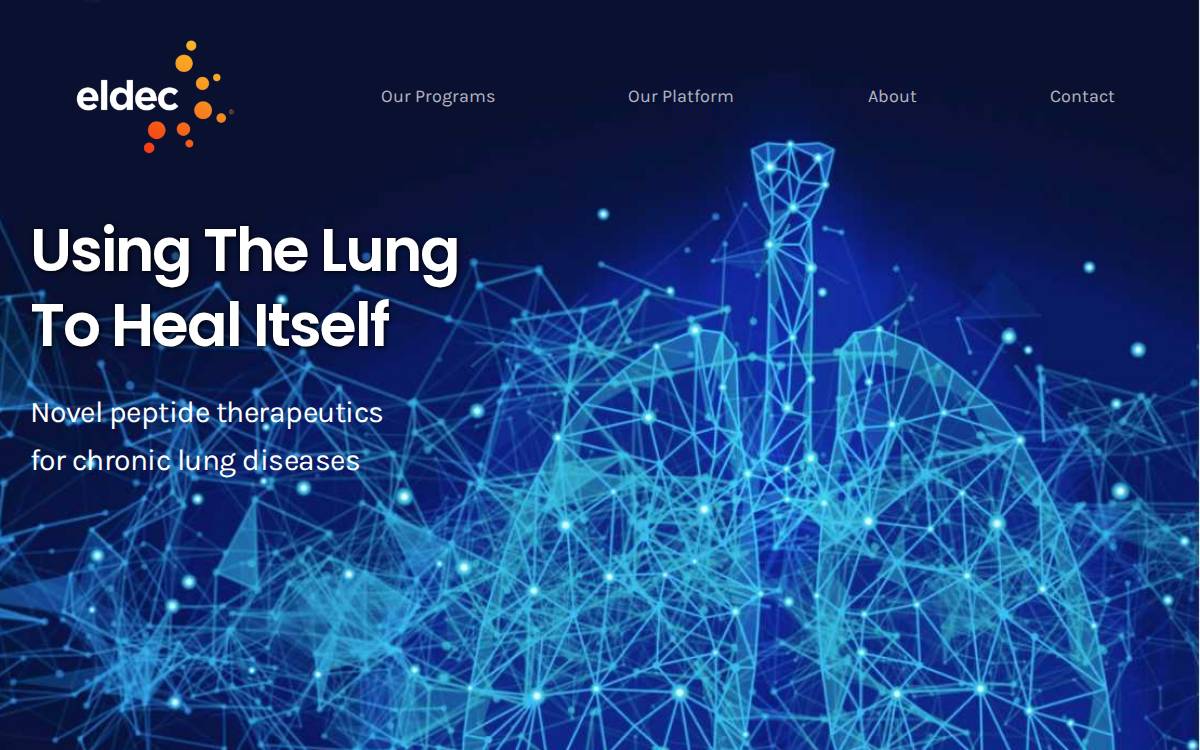Eldec Pharmaceuticals website preview