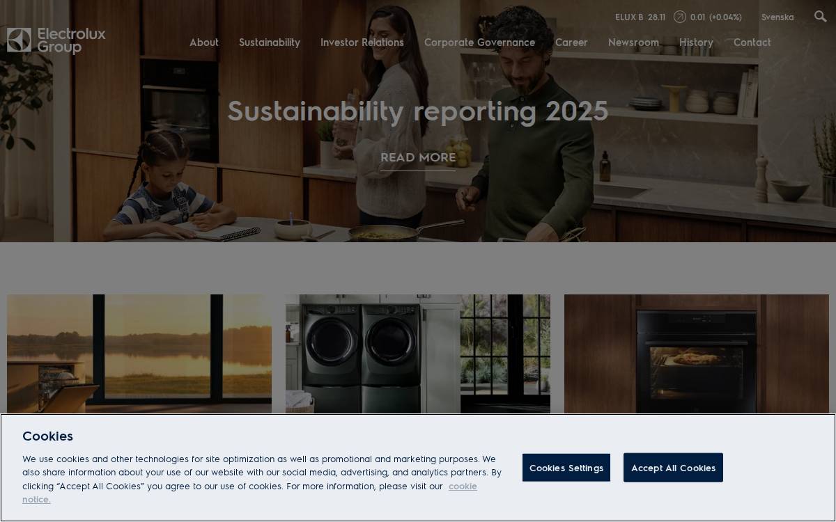Electrolux website preview