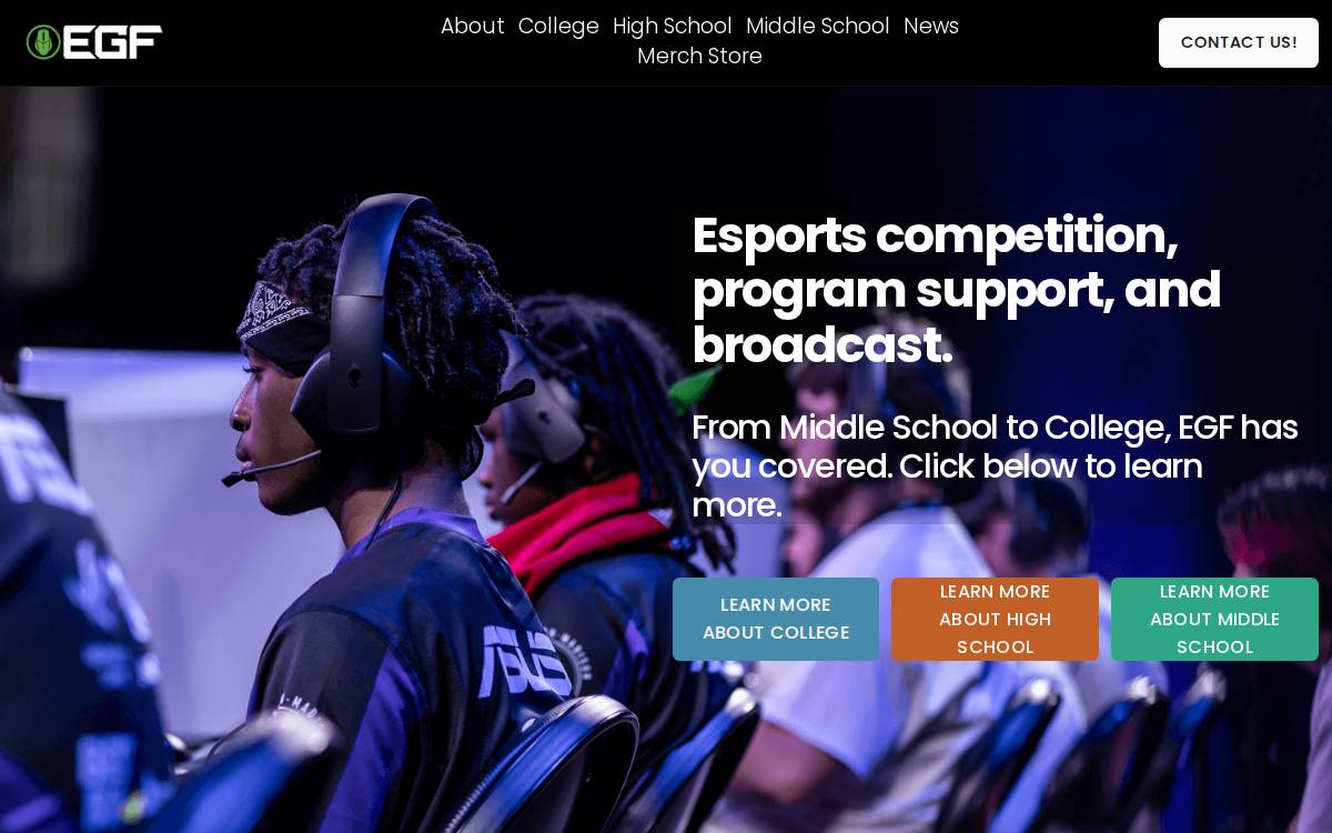 electronic gaming federation website preview