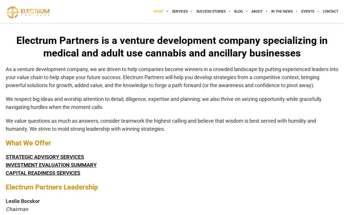 Electrum Partners website preview