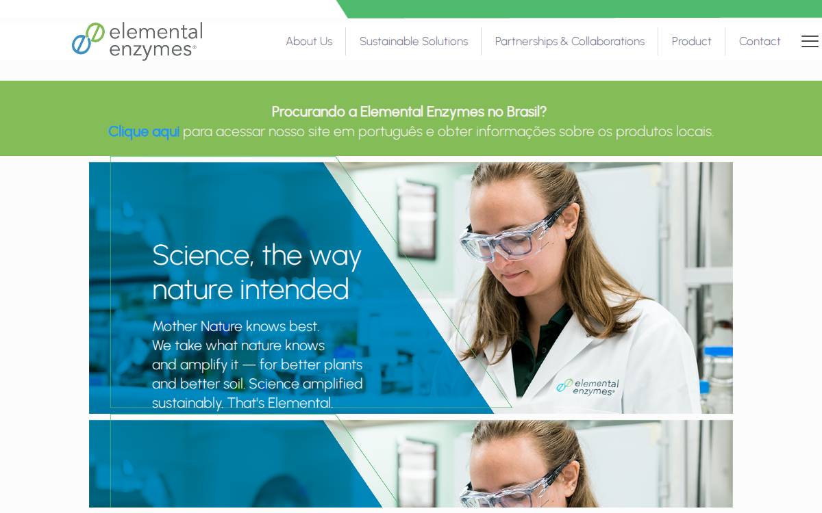 Elemental Enzymes website preview