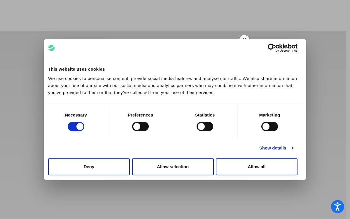 Elevate website preview