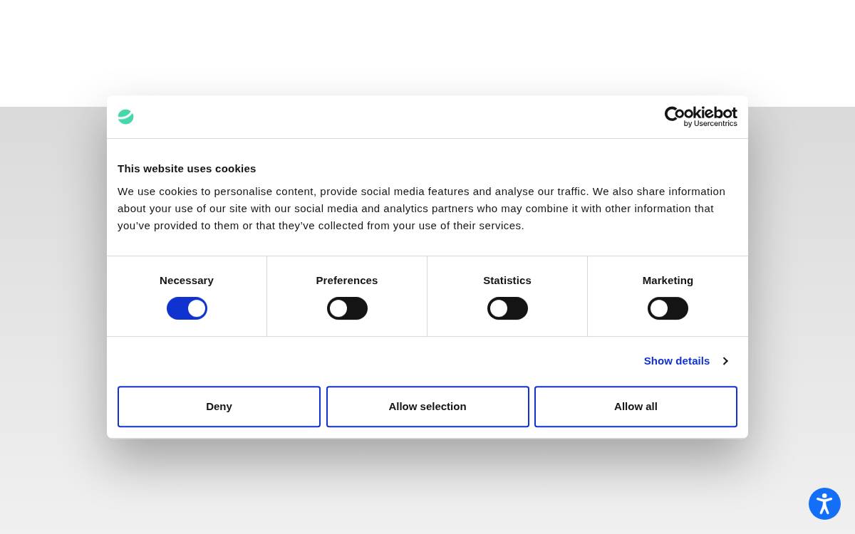 Elevate Services website preview