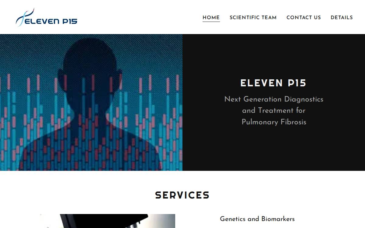 Eleven P15 website preview