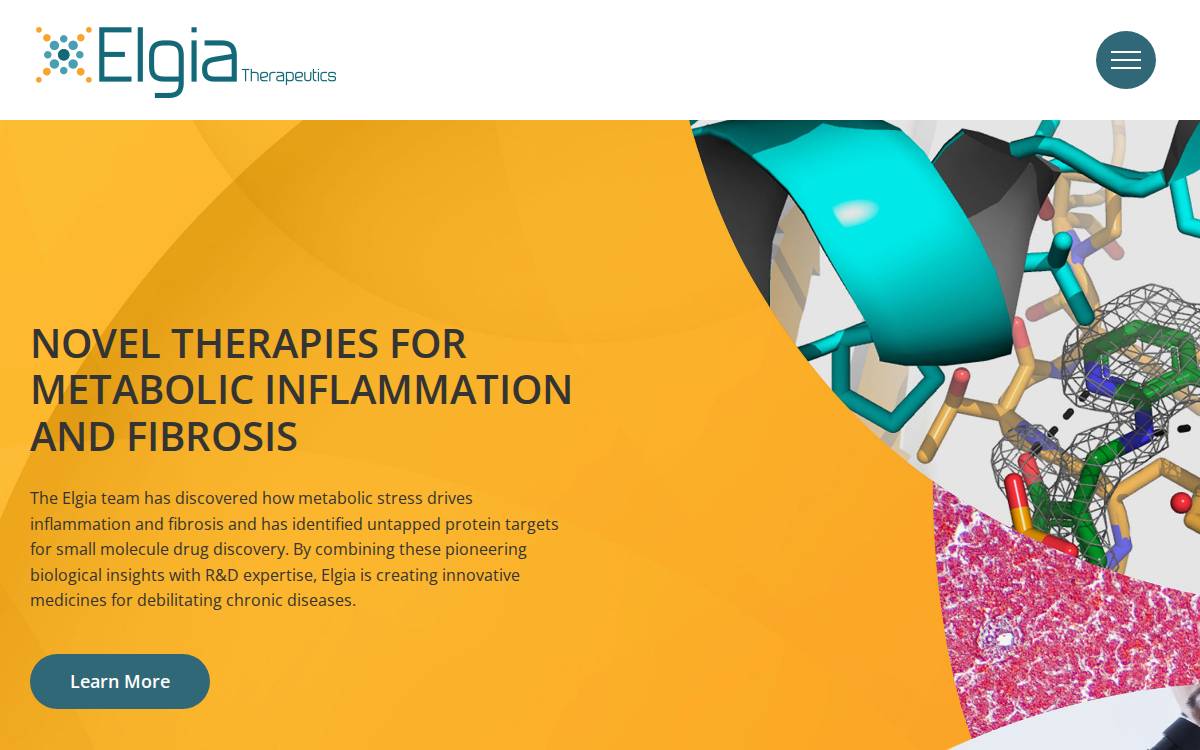 Elgia Therapeutics website preview