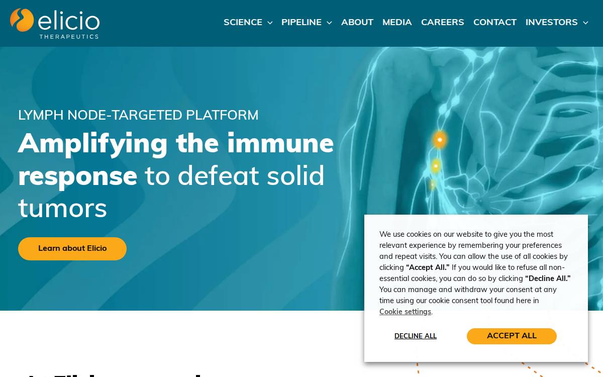 Elicio website preview