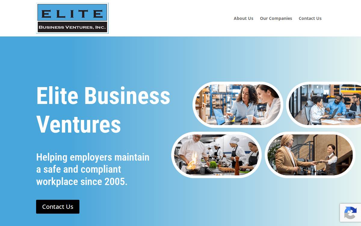 Elite Business Ventures website preview