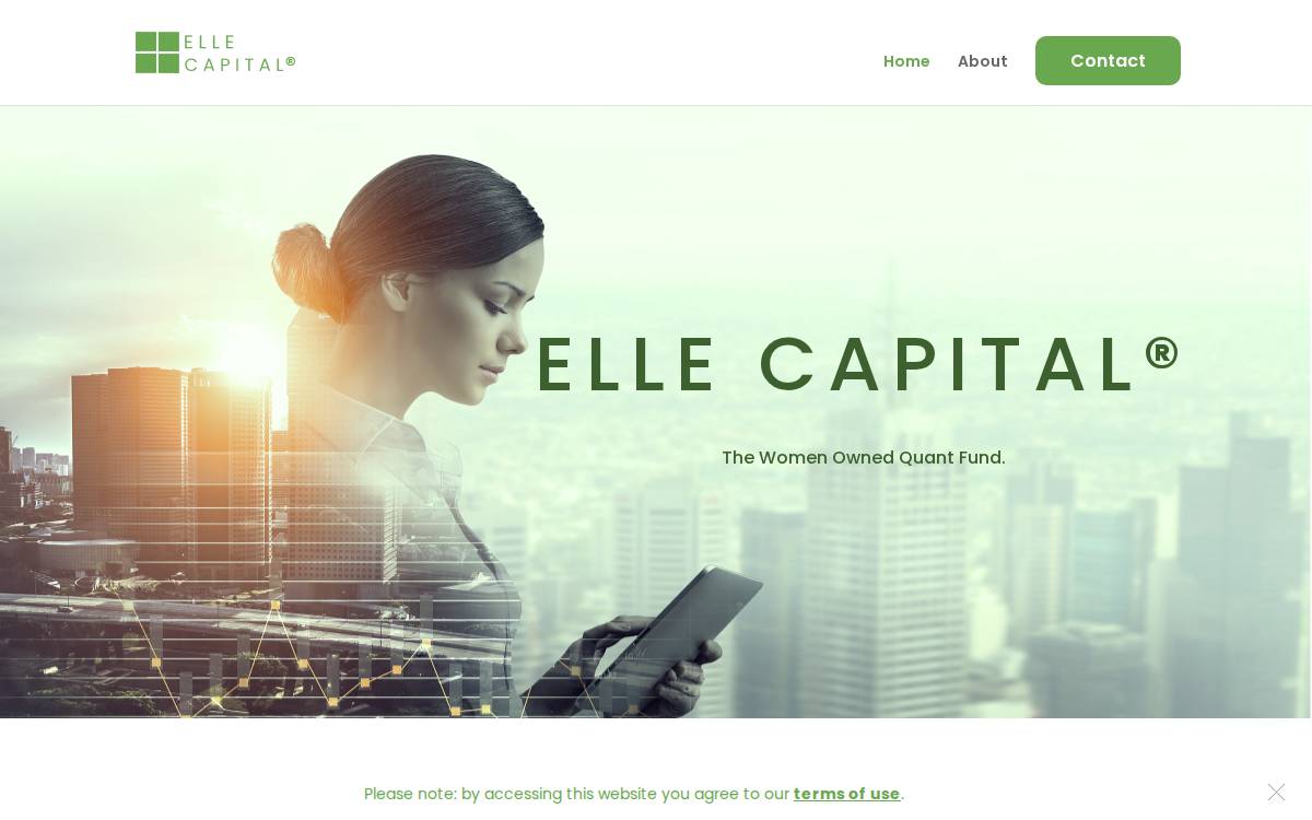Elle Capital website preview