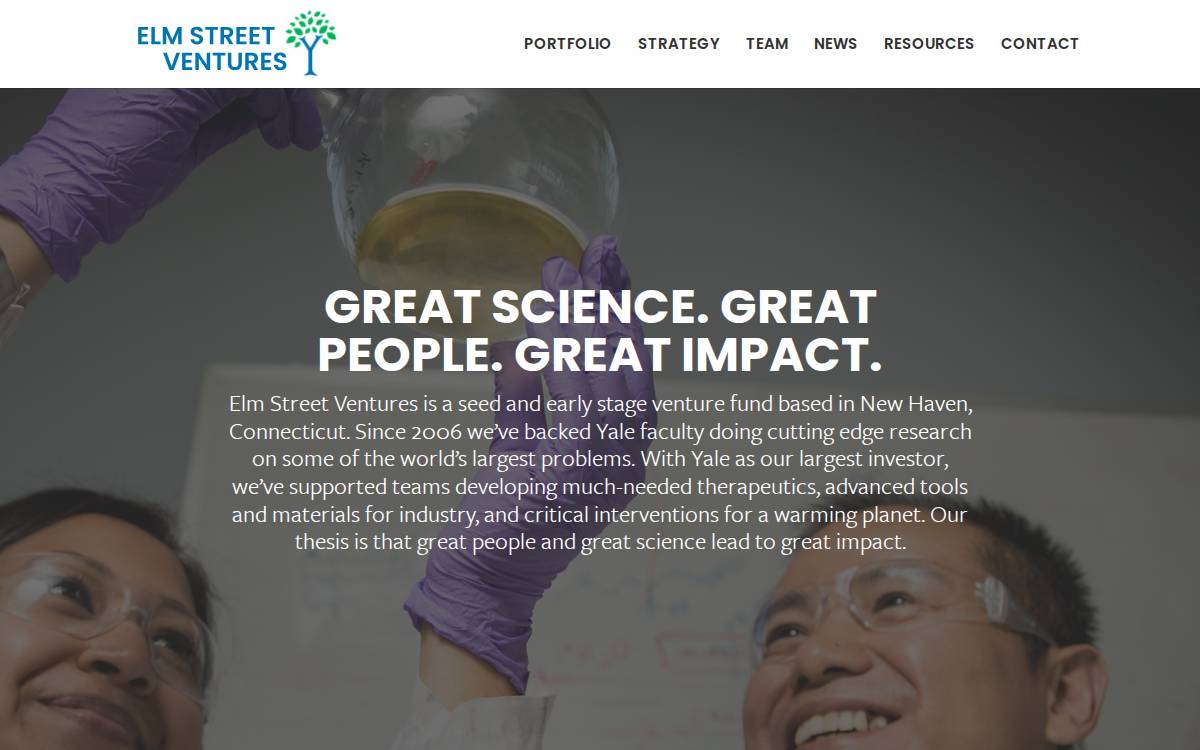 Elm Street Ventures website preview