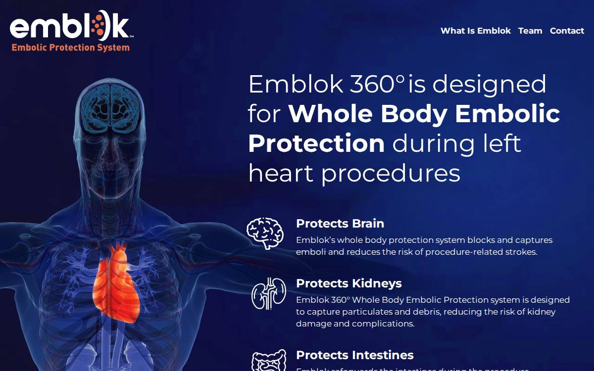 Emblok website preview