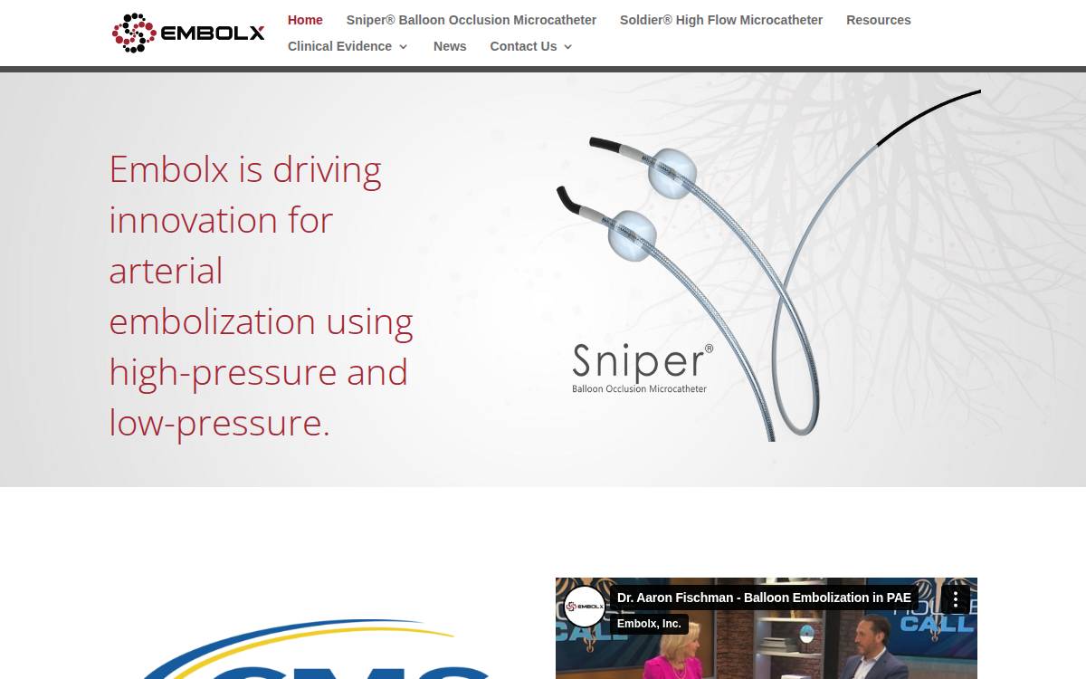 Embolx website preview