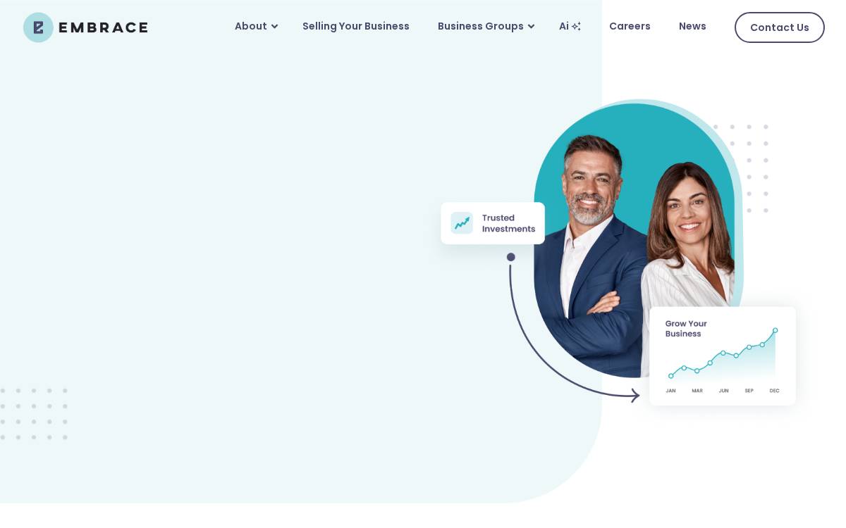 Embrace Software website preview
