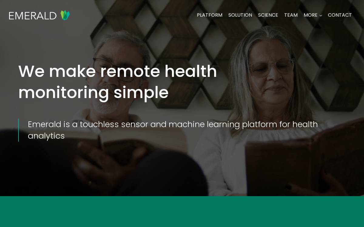 Emerald website preview