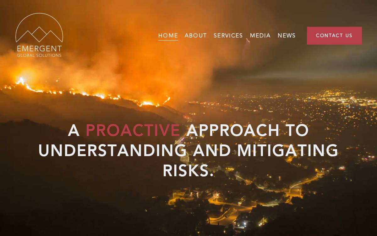Emergent Global Solutions website preview
