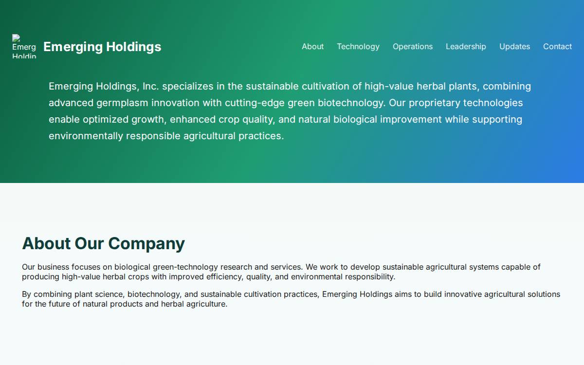 Emerging Holdings website preview