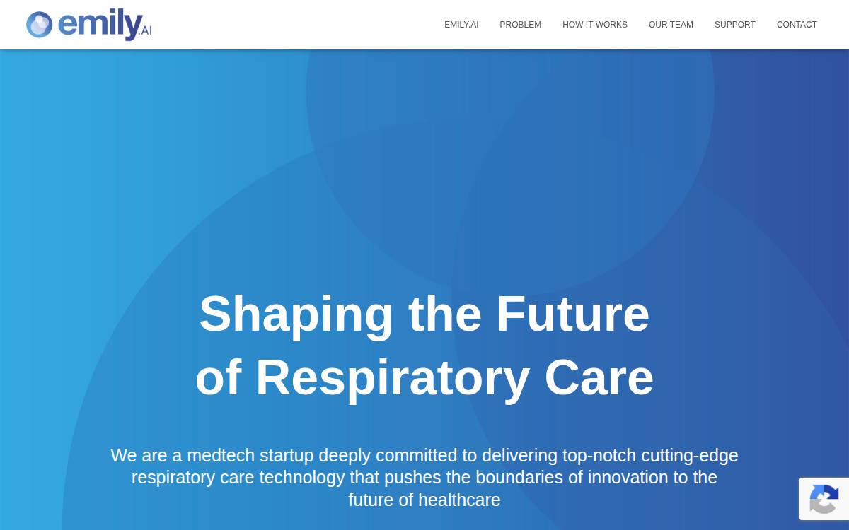 Emilycares website preview