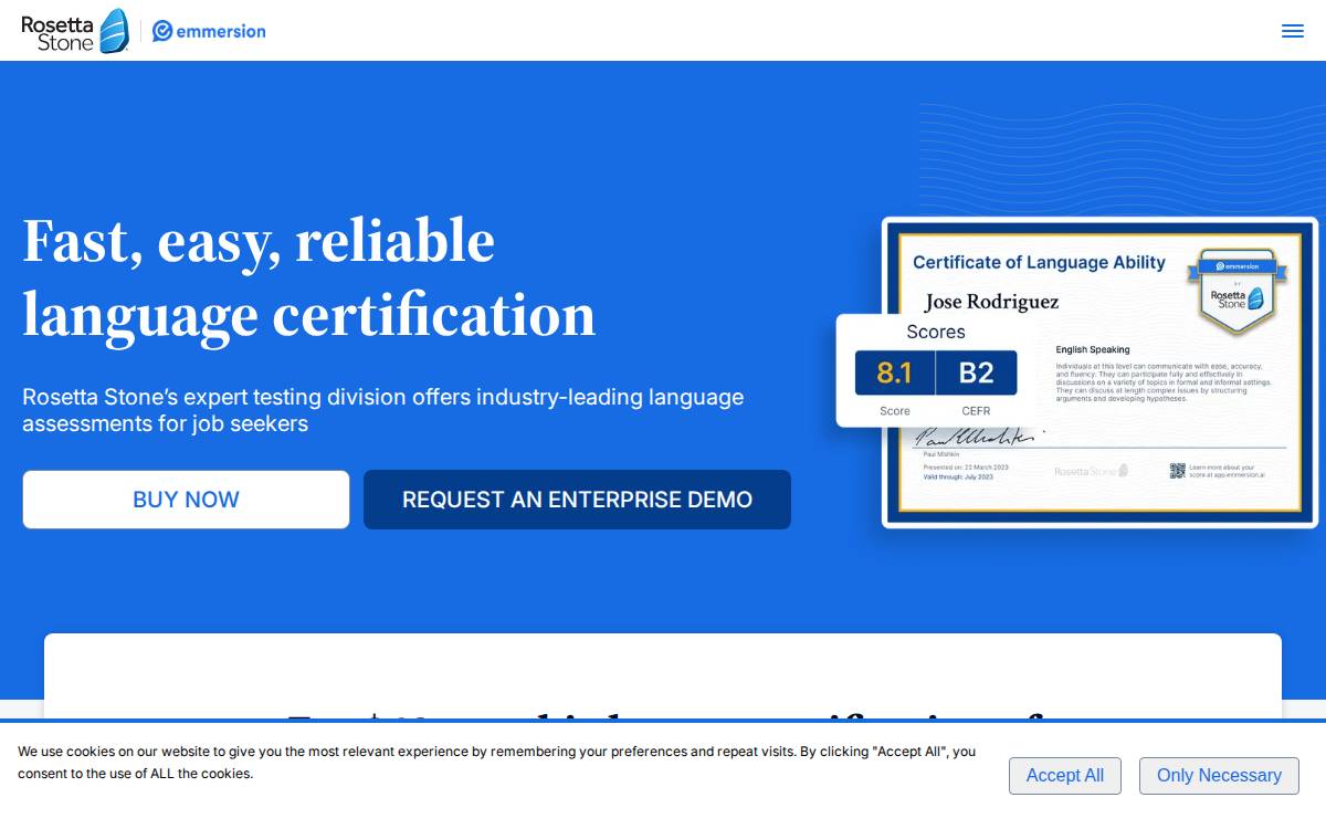Emmersion website preview