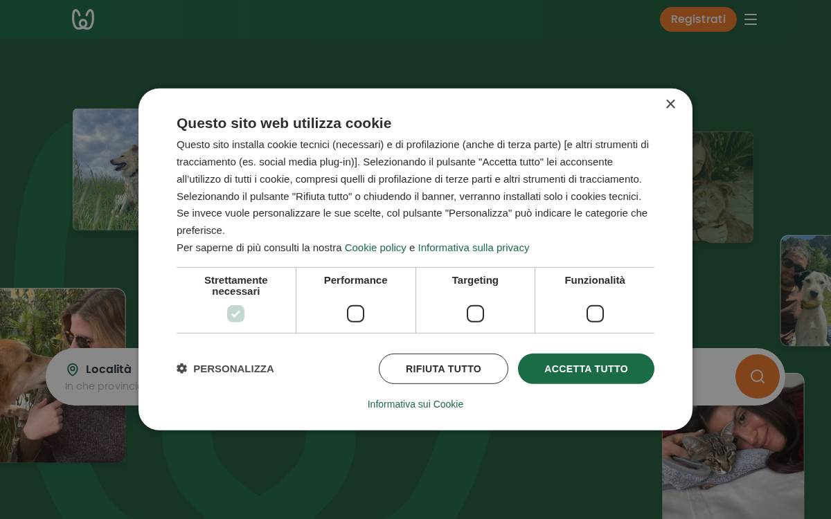 Empethy website preview