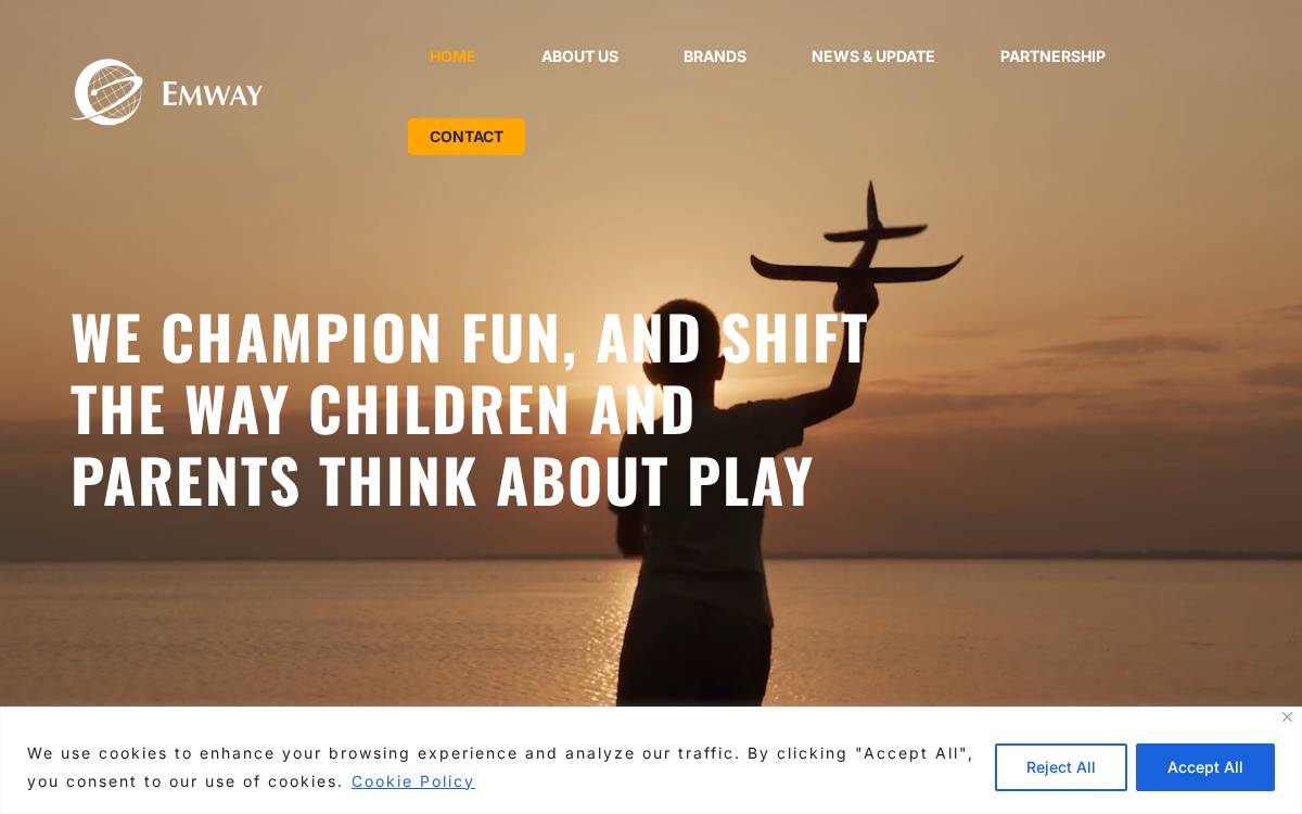 Emway Group website preview