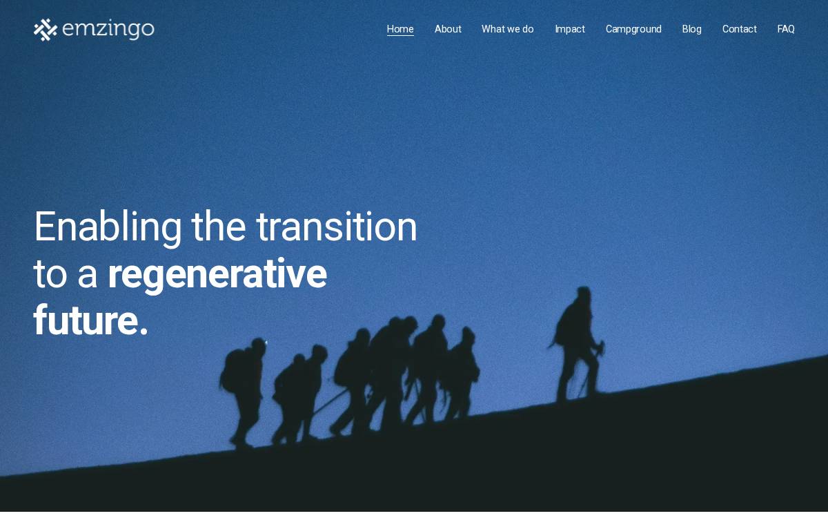 Emzingo website preview