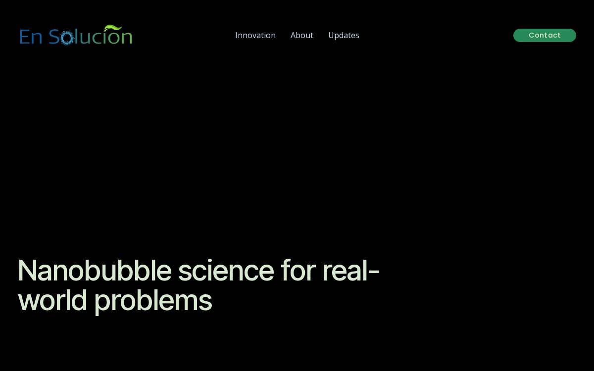 En Solucion website preview