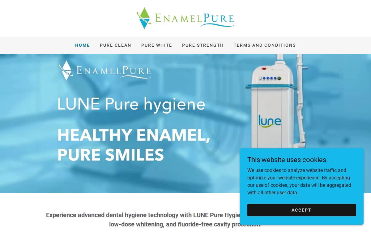 Enamel Pure website preview