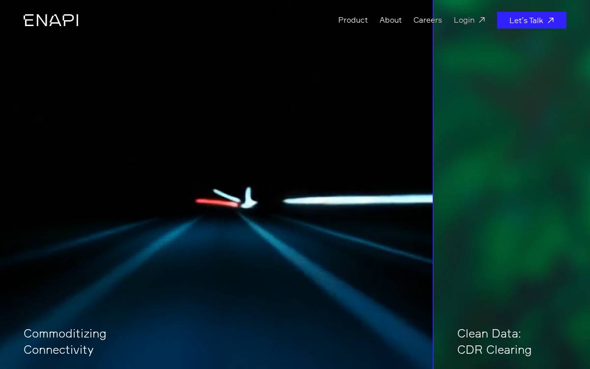 Enapi website preview