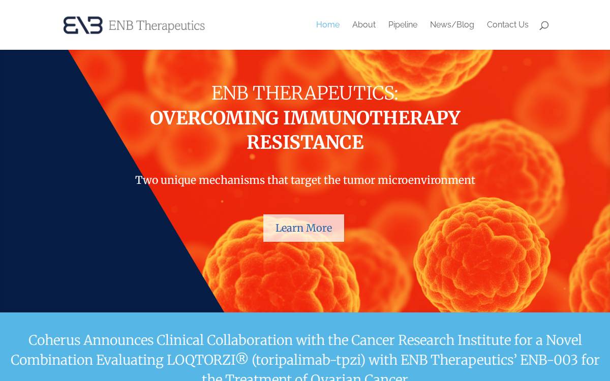 ENB Therapeutics website preview