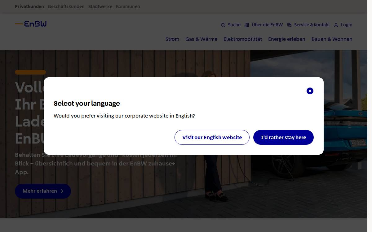 Enbw website preview