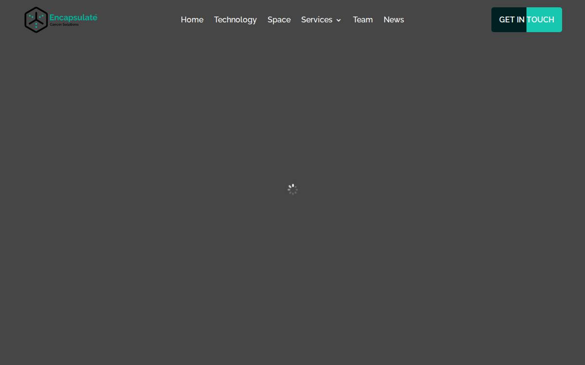 Encapsulate website preview
