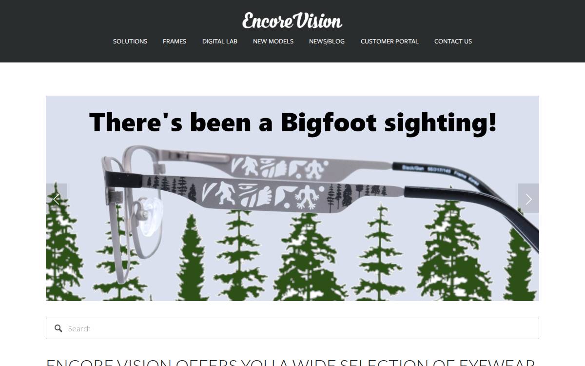 Encore Vision Inc. website preview