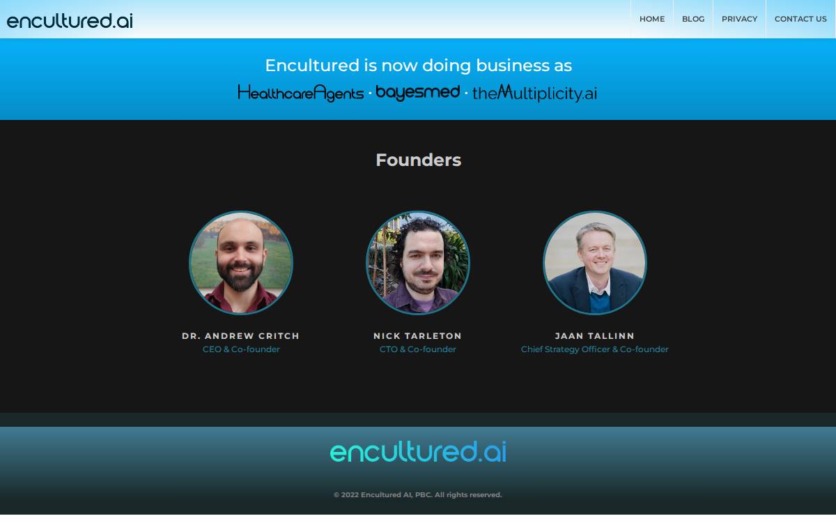 Encultured AI website preview