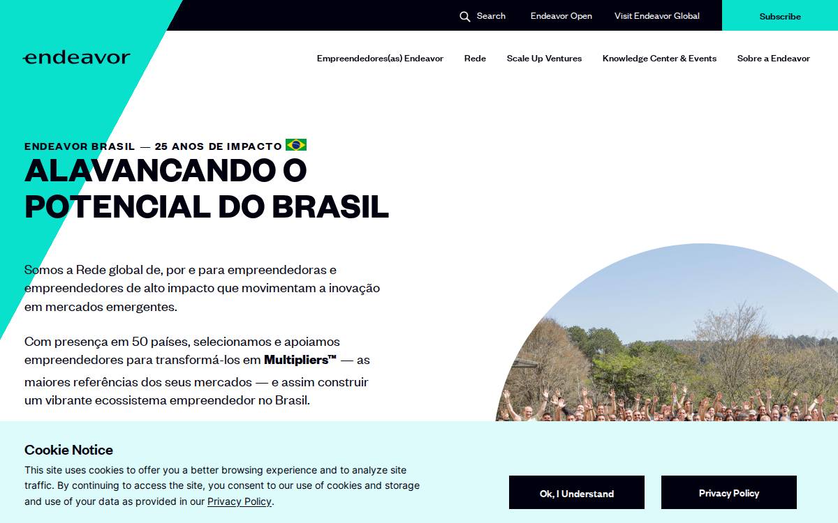Endeavor Brazil website preview