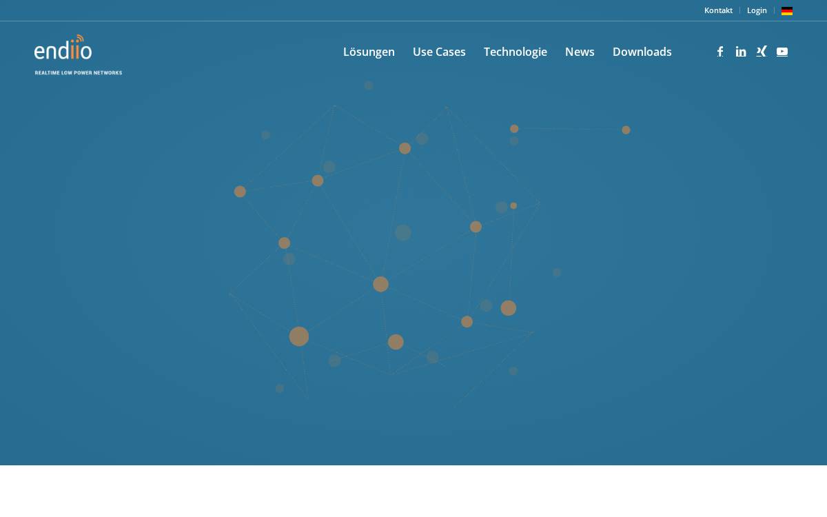endiio website preview