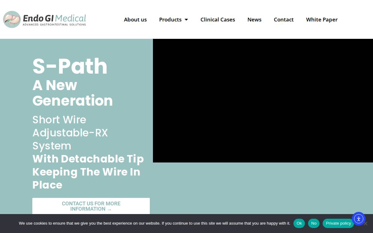 Endo Gi website preview